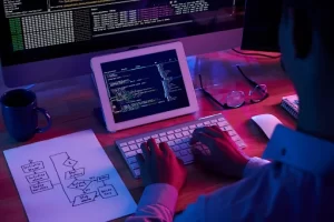 apa itu programmer